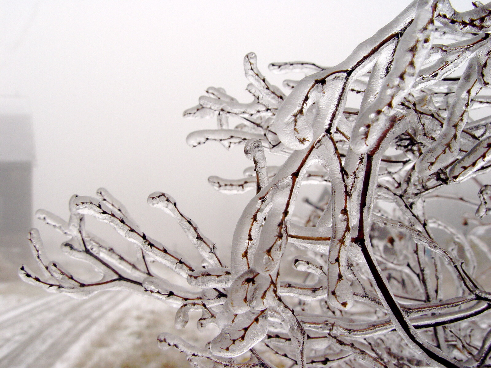 Ice Storm