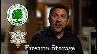 Firearm Storage